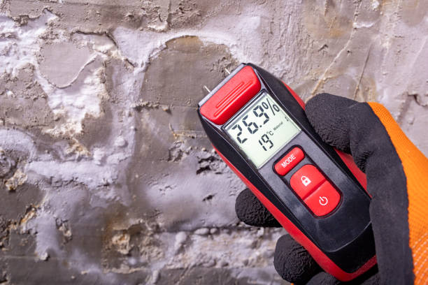 Best Emergency Mold Removal  in Aberdeen, SD
