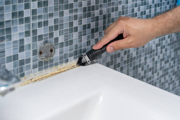 Professional Mold Removal in Aberdeen, SD