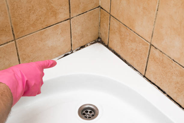 Best Mold Testing  in Aberdeen, SD